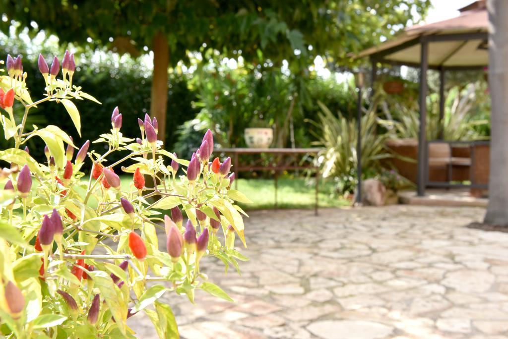 B&B Villa Anastasia Club 梅萨涅 外观 照片